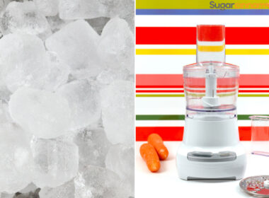 Can You Blend Ice In A Food Processor