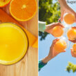 Is Orange Juice Low On FODMAP