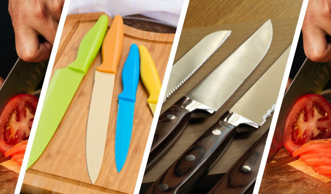 Ceramic Knives vs Steel For Kitchen Use