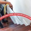 Ants On Second Floor: Getting Rid Of Ants Upstairs