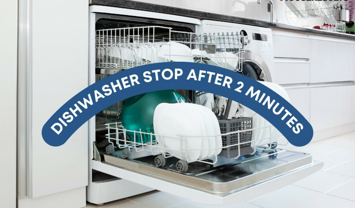 Dishwasher Stop After 2 Minutes: Causes and Solutions