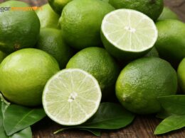 Too Many Limes