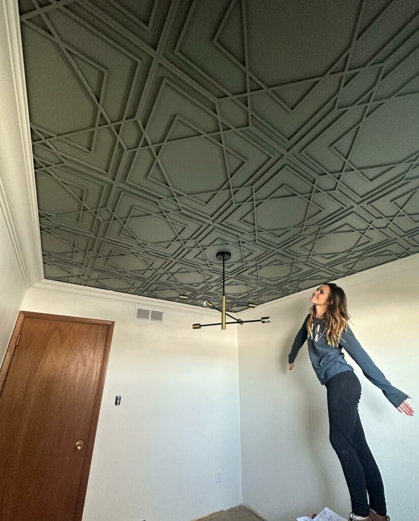 Industrial Accent Ceiling