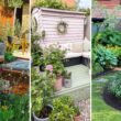 Corner Garden Idea For Ideas
