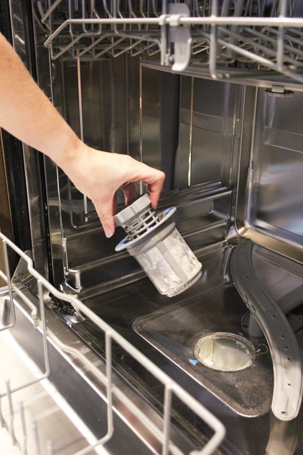 Cleaning the Dishwasher Filter