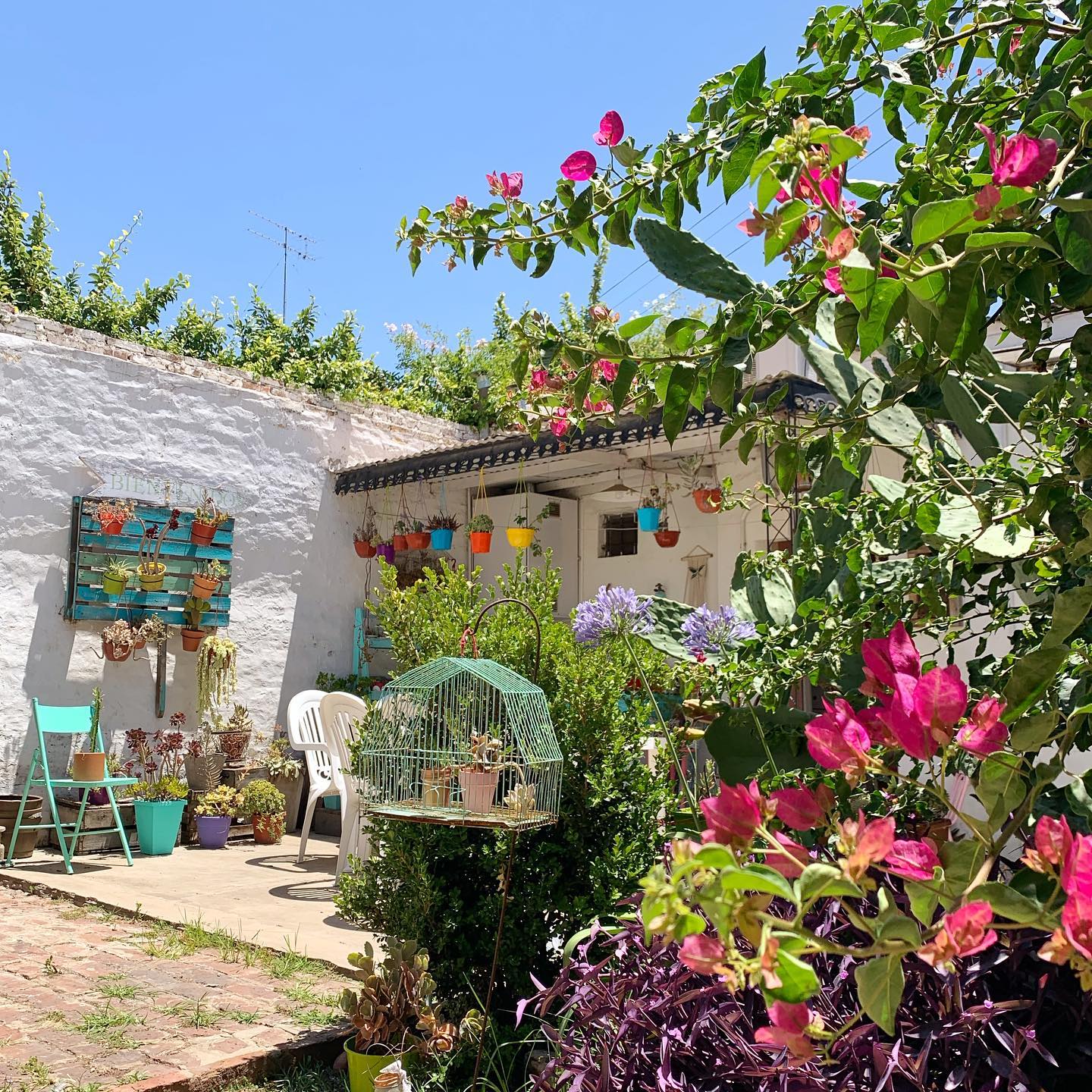 Colorful Garden Patio Decor