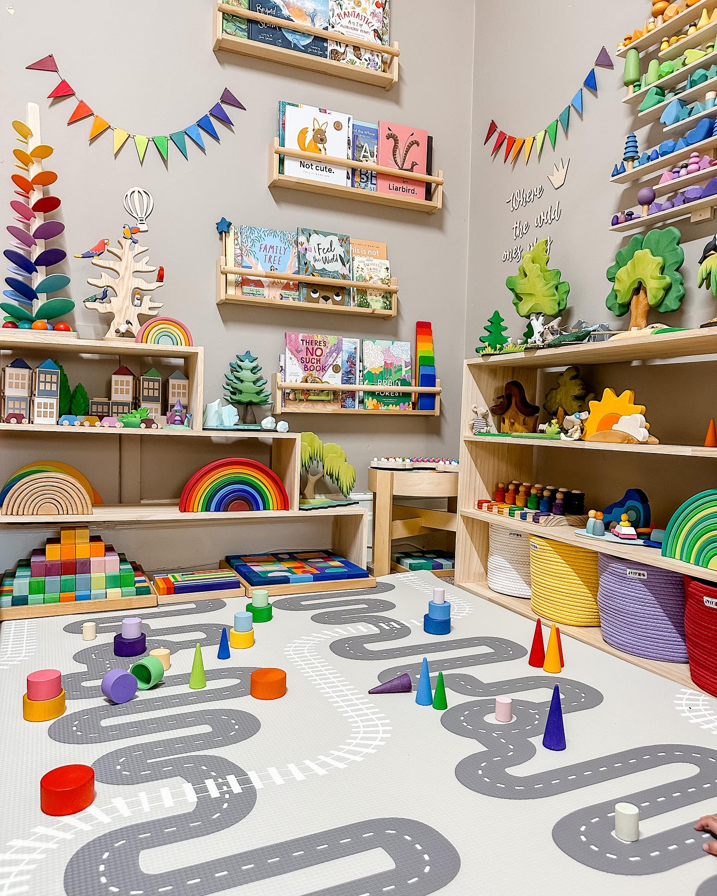 Rainbow Toy Playroom Decor