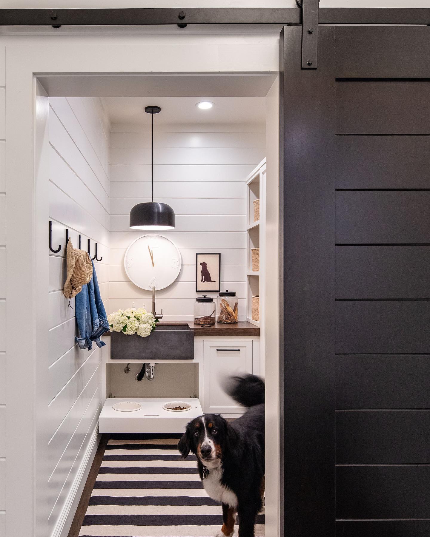Tiny Dog Friendly Mudroom Space