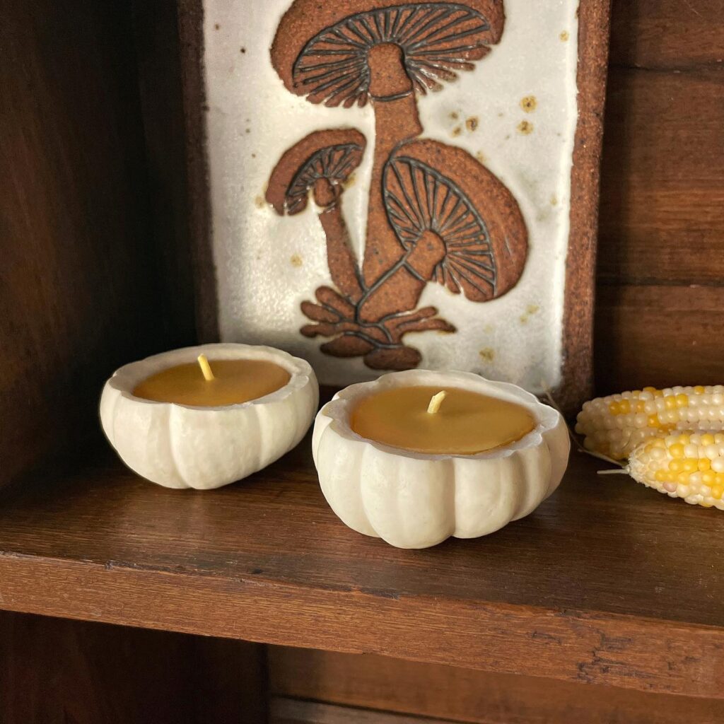 Pumpkin Beeswax Candle Craft